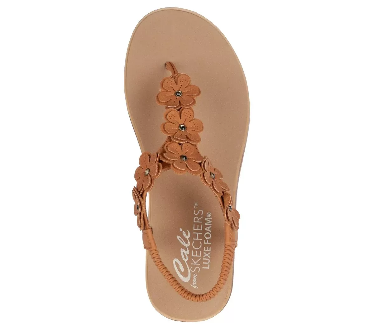 Summer Cove – Beach Bloom Summer Cove – Beach Bloom