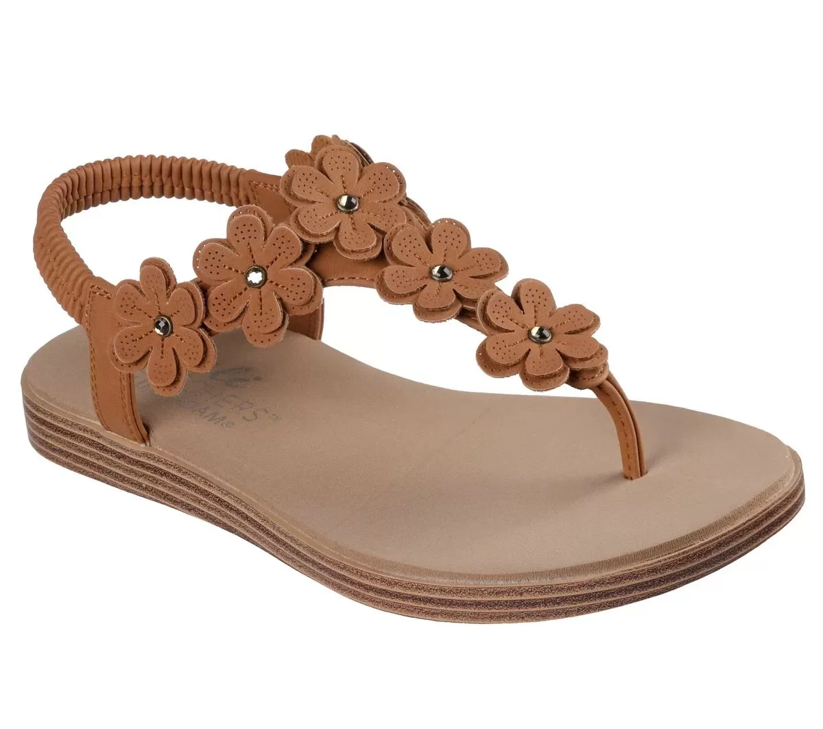 Summer Cove – Beach Bloom Summer Cove – Beach Bloom